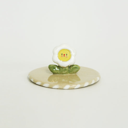Hana lid
