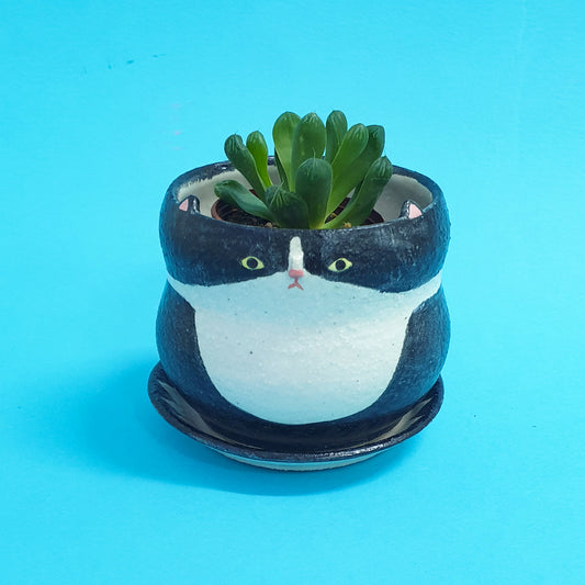 PLANTER WORKSHOP