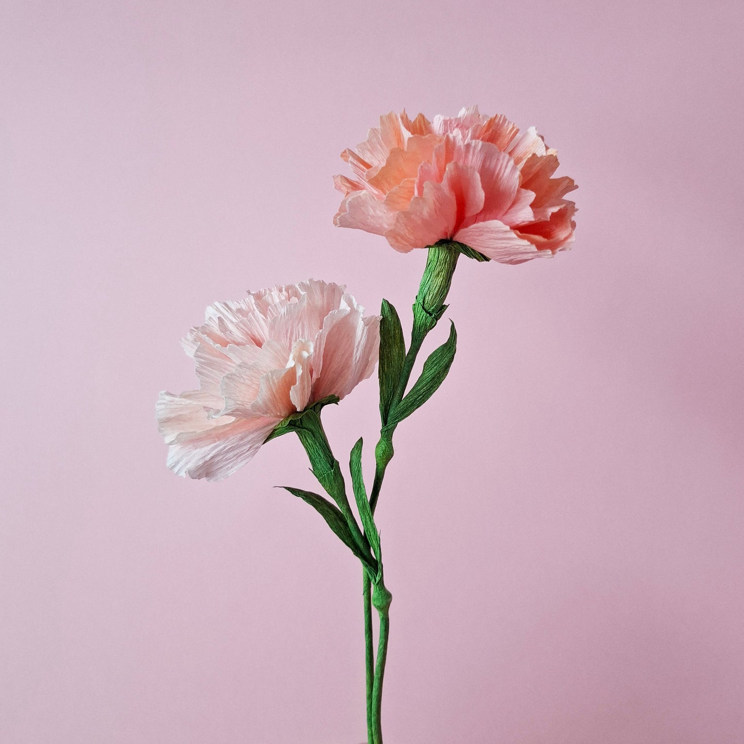 Mom's Club Day Special - Paper Flower Workshop