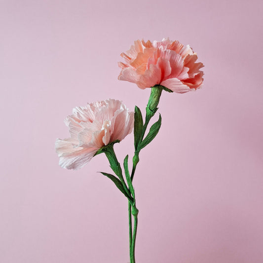 Mom's Club Day Special - Paper Flower Workshop